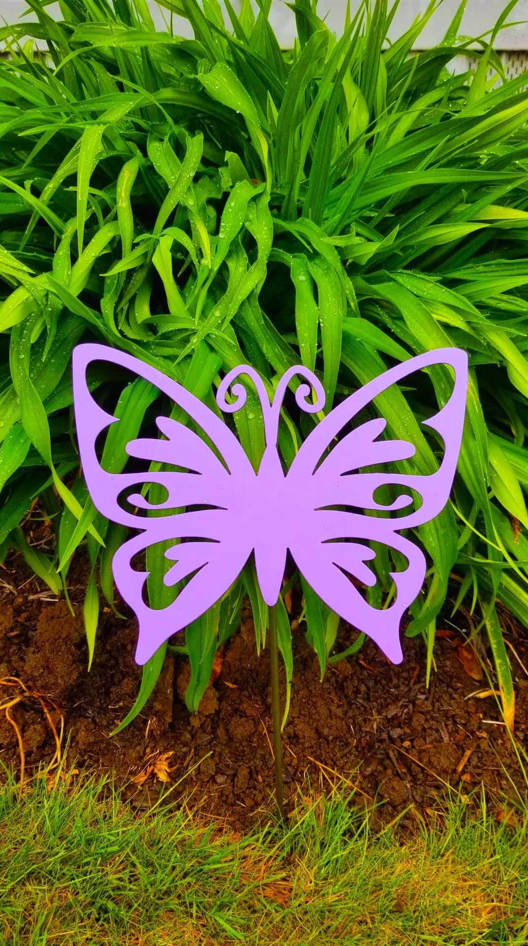 Butterfly Metal Wall Decor