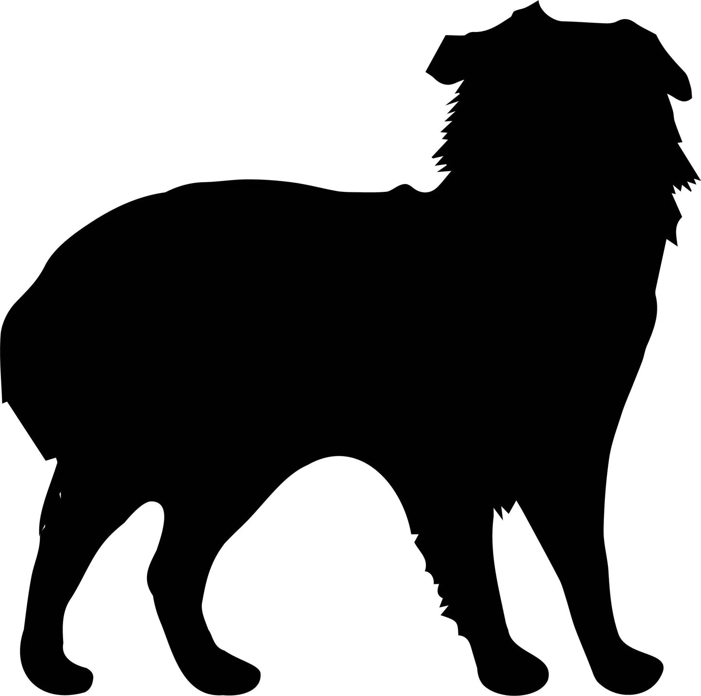 Australian Shepherd Wall Decor