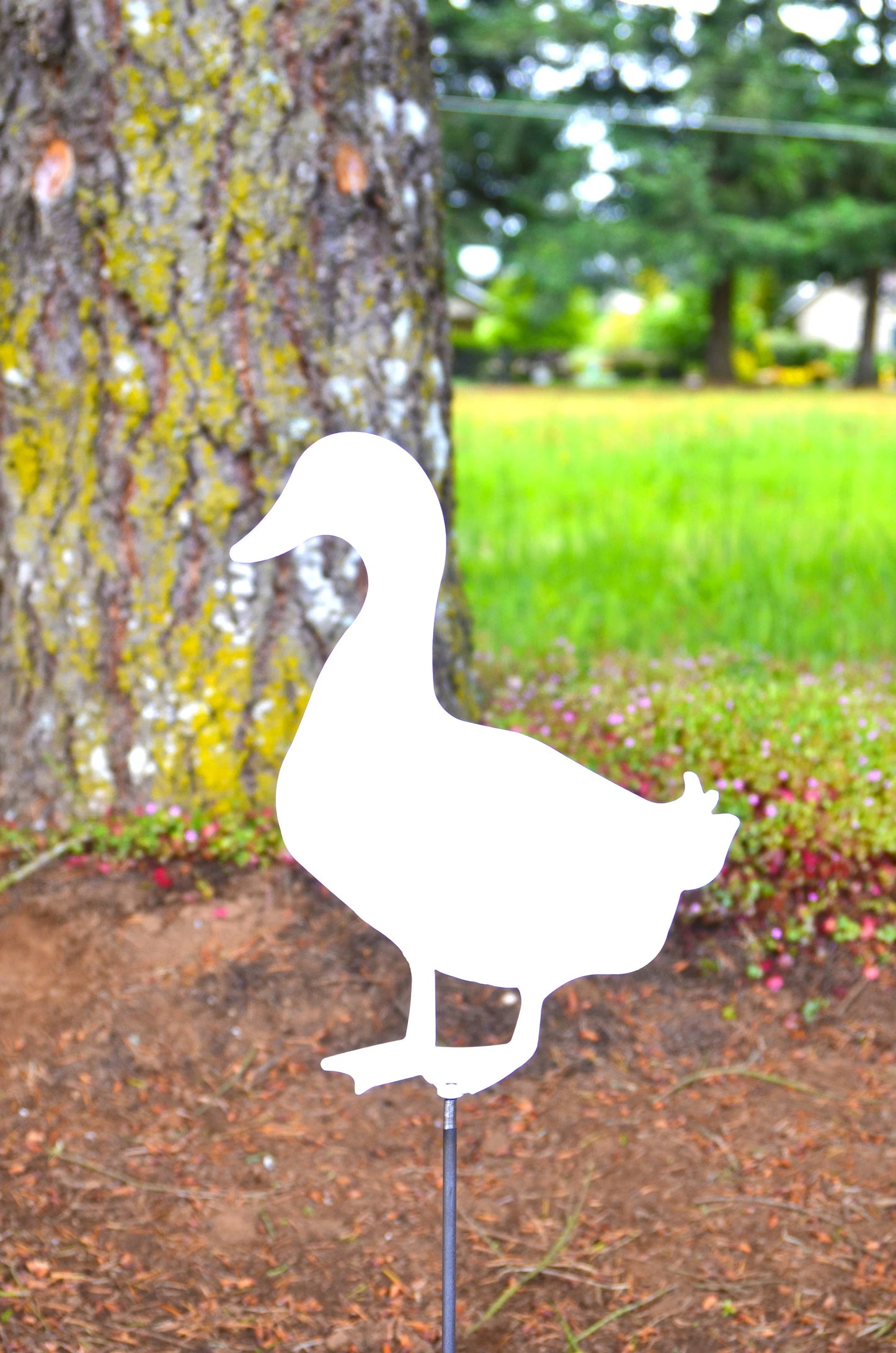Solid Duck Metal Sign