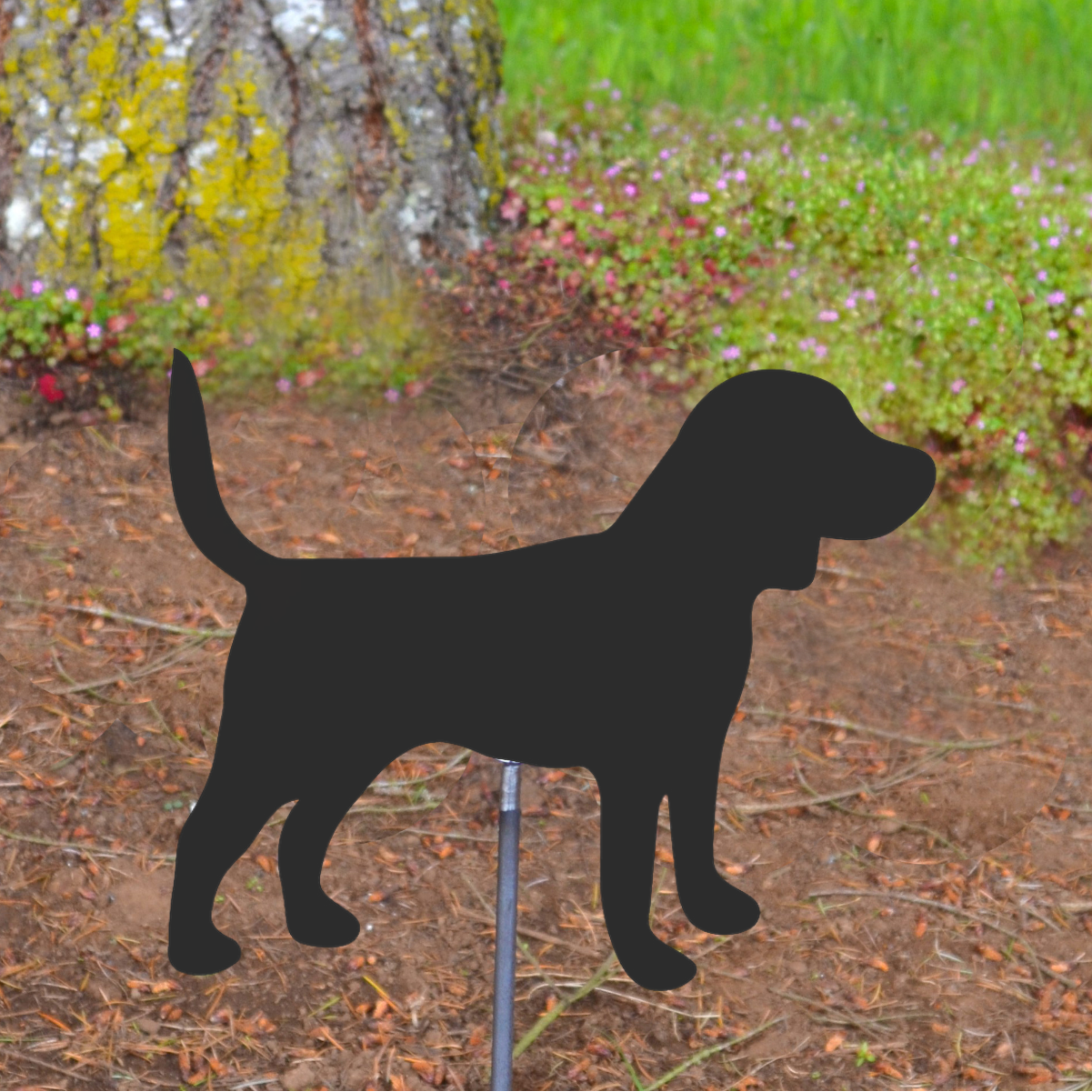 Solid Beagle Metal Sign